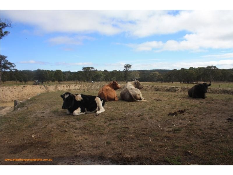 815 Amiens Road, Stanthorpe QLD 4380