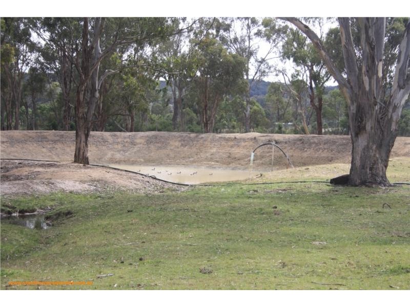 815 Amiens Road, Stanthorpe QLD 4380