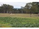 815 Amiens Road, Stanthorpe QLD 4380