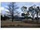 66 Calvert Road, Glen Aplin via, Stanthorpe QLD 4380