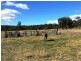 246 Watters Road, Ballandean via, Stanthorpe QLD 4380