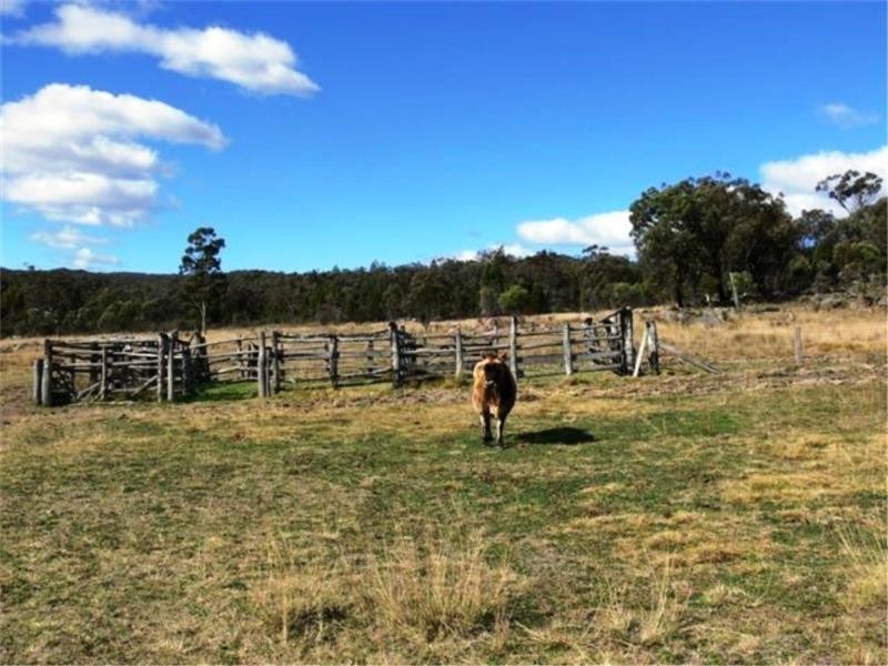 246 Watters Road, Ballandean via, Stanthorpe QLD 4380