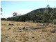 246 Watters Road, Ballandean via, Stanthorpe QLD 4380