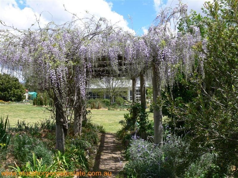 2139 Pyramids Road, Stanthorpe QLD 4380