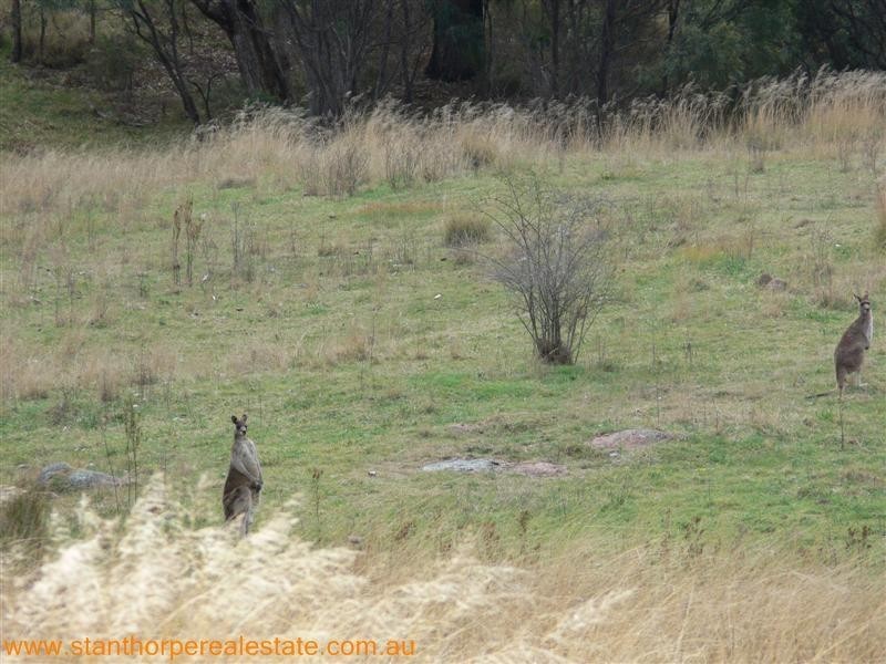 2139 Pyramids Road, Stanthorpe QLD 4380