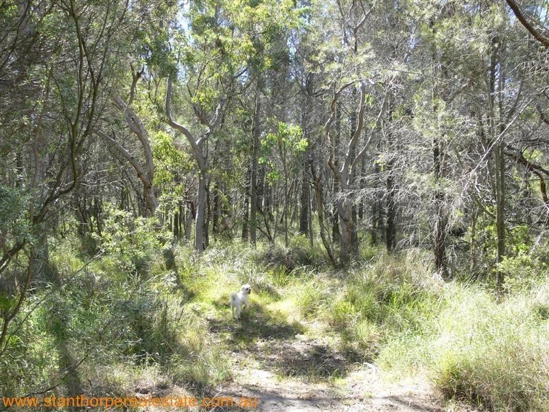 225 Ellwood Road, Applethorpe QLD 4378