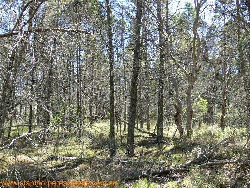 225 Ellwood Road, Applethorpe QLD 4378