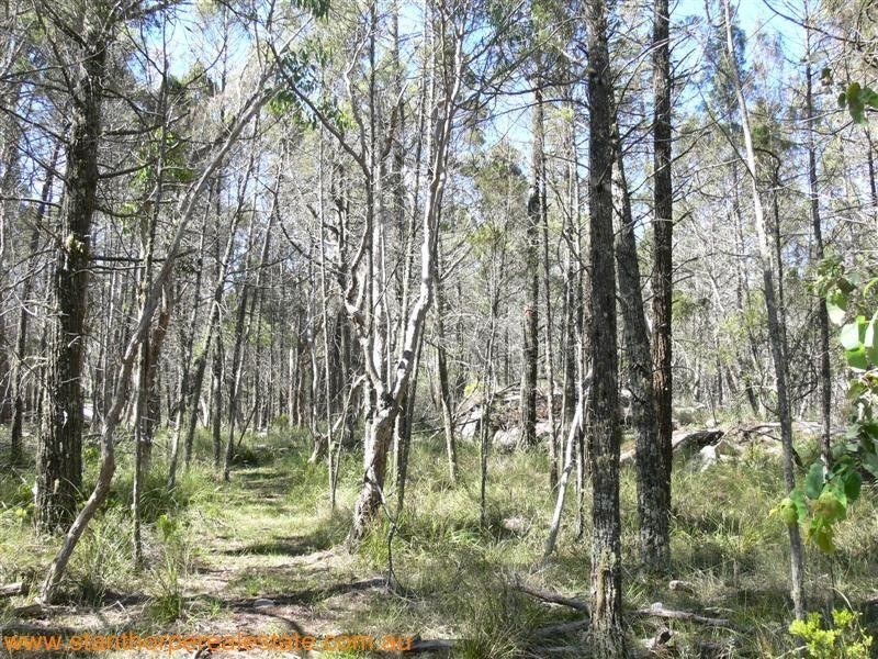 225 Ellwood Road, Applethorpe QLD 4378