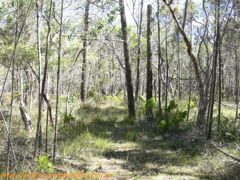 225 Ellwood Road, Applethorpe QLD 4378