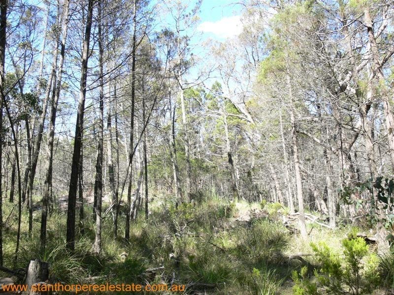 225 Ellwood Road, Applethorpe QLD 4378