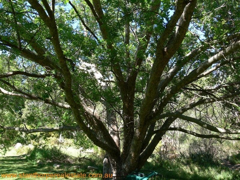 225 Ellwood Road, Applethorpe QLD 4378