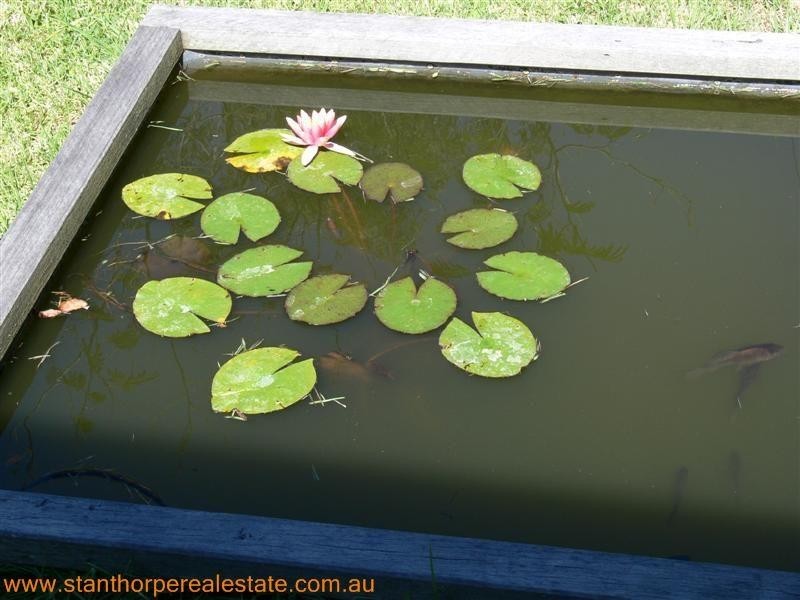 225 Ellwood Road, Applethorpe QLD 4378