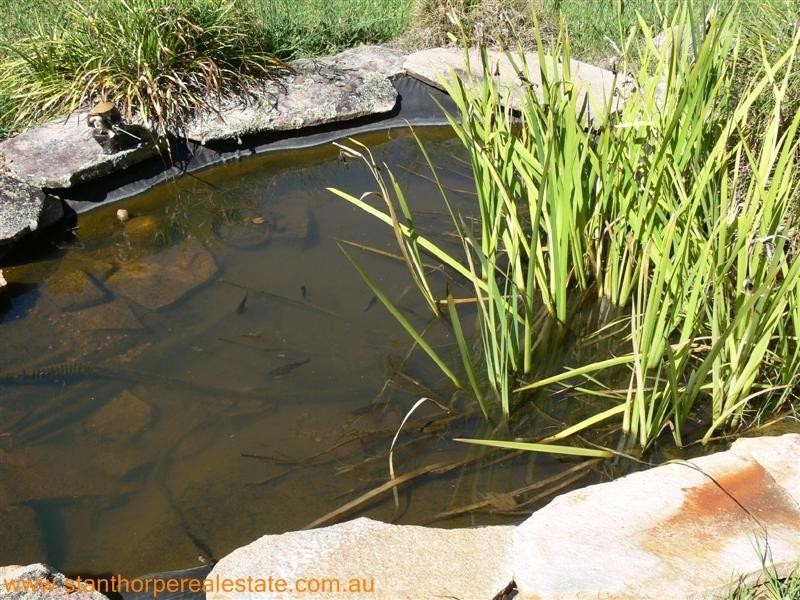 225 Ellwood Road, Applethorpe QLD 4378