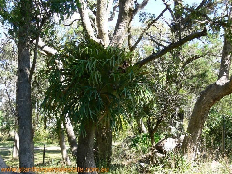 225 Ellwood Road, Applethorpe QLD 4378