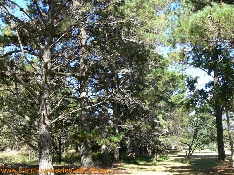 225 Ellwood Road, Applethorpe QLD 4378