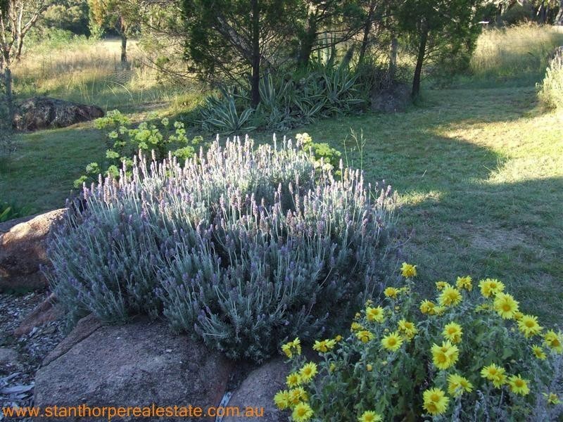 208 Watters Road, Ballandean via, Stanthorpe QLD 4380