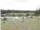 184 Yarnold Road, Amiens via, Stanthorpe QLD 4380