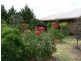 92 Britannia Street, Stanthorpe QLD 4380
