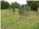 92 Britannia Street, Stanthorpe QLD 4380