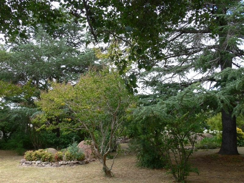 21 College Road, Stanthorpe QLD 4380