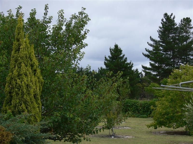 8 Brunckhorst Avenue, Stanthorpe QLD 4380