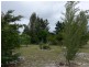 8 Brunckhorst Avenue, Stanthorpe QLD 4380