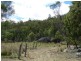 64 Rees Road, Ballandean via, Stanthorpe QLD 4380