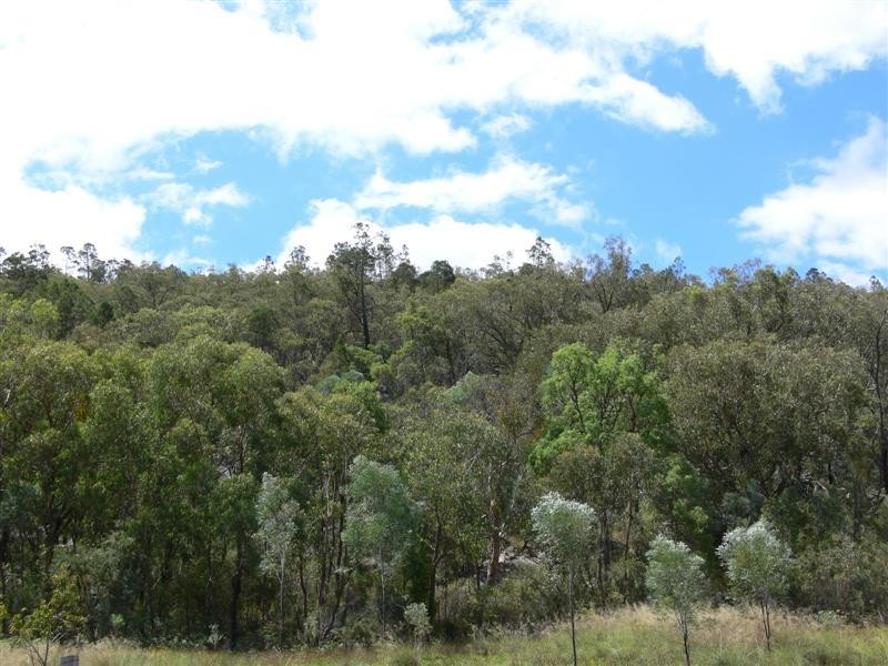 64 Rees Road, Ballandean via, Stanthorpe QLD 4380