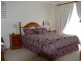 142 Hale Haven Drive, Stanthorpe QLD 4380