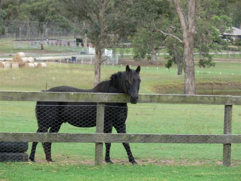 9 Neville Lane, Stanthorpe QLD 4380