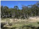 370 Mt Tully Road, Stanthorpe QLD 4380