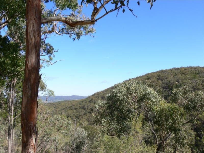 370 Mt Tully Road, Stanthorpe QLD 4380