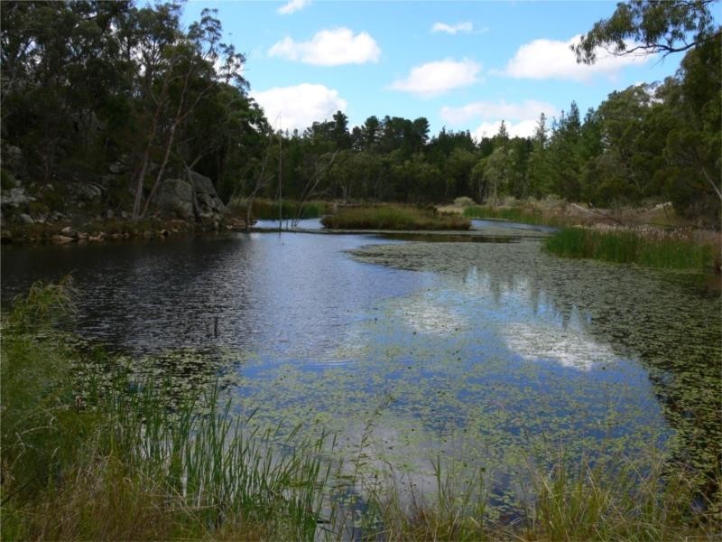 429 Amosfield Road, Stanthorpe QLD 4380