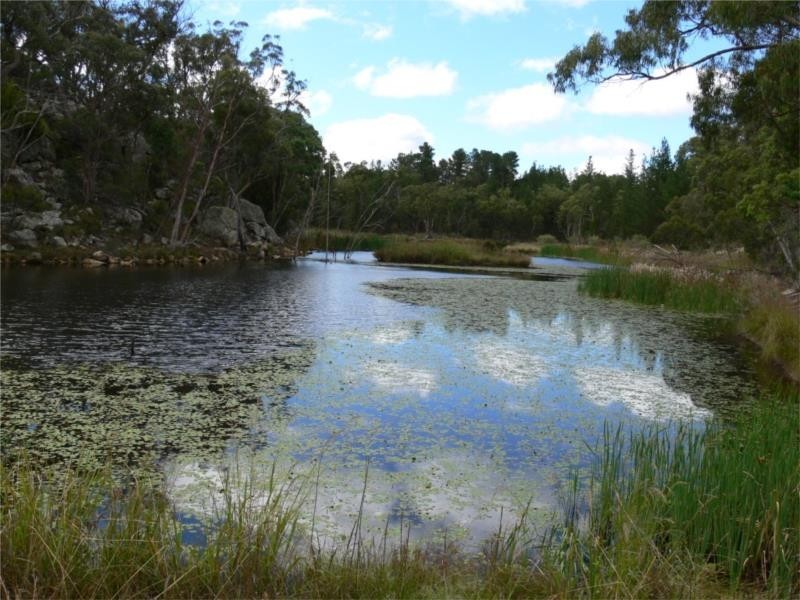 429 Amosfield Road, Stanthorpe QLD 4380