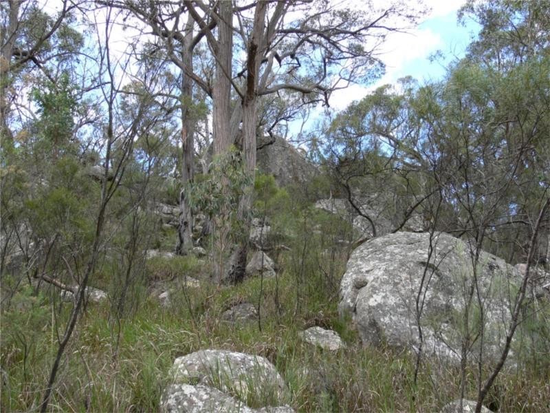 429 Amosfield Road, Stanthorpe QLD 4380