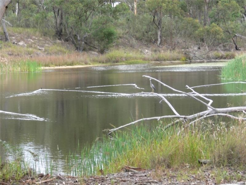 429 Amosfield Road, Stanthorpe QLD 4380