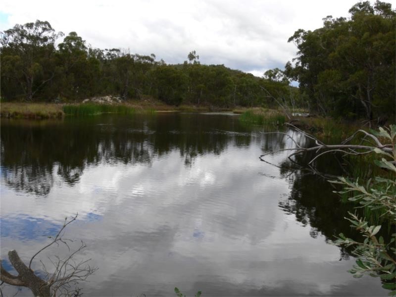 429 Amosfield Road, Stanthorpe QLD 4380