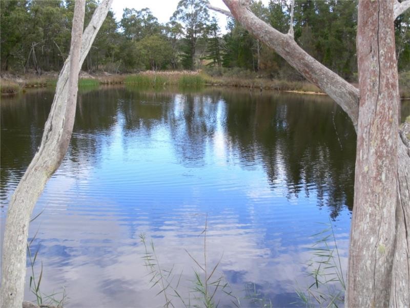 429 Amosfield Road, Stanthorpe QLD 4380