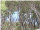 429 Amosfield Road, Stanthorpe QLD 4380