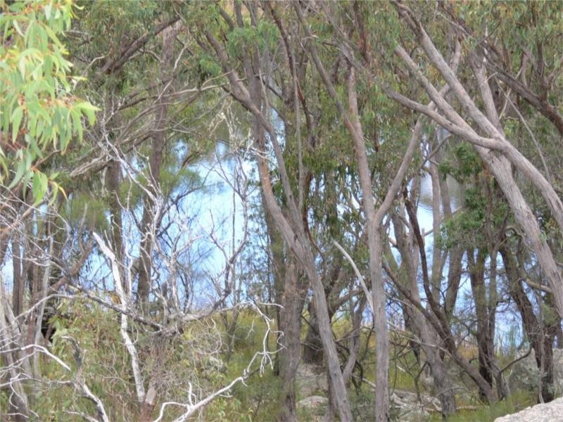 429 Amosfield Road, Stanthorpe QLD 4380
