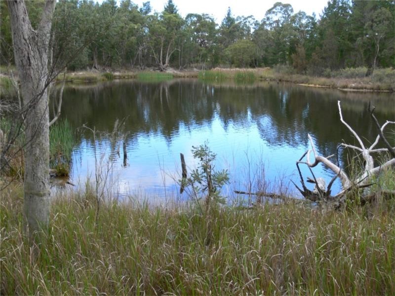 429 Amosfield Road, Stanthorpe QLD 4380