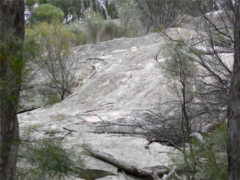 429 Amosfield Road, Stanthorpe QLD 4380