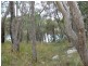 429 Amosfield Road, Stanthorpe QLD 4380