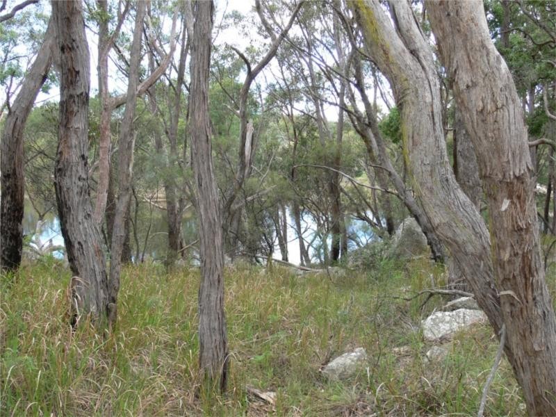 429 Amosfield Road, Stanthorpe QLD 4380