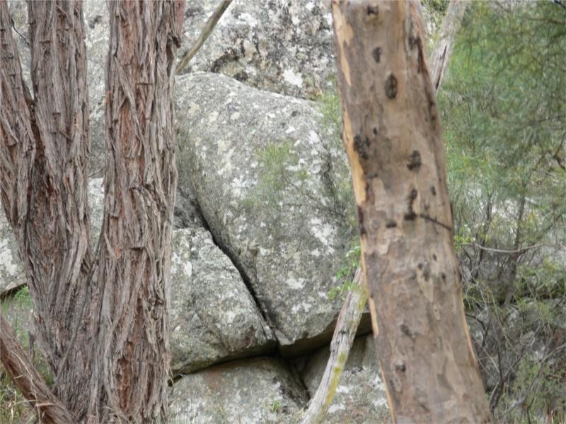 429 Amosfield Road, Stanthorpe QLD 4380