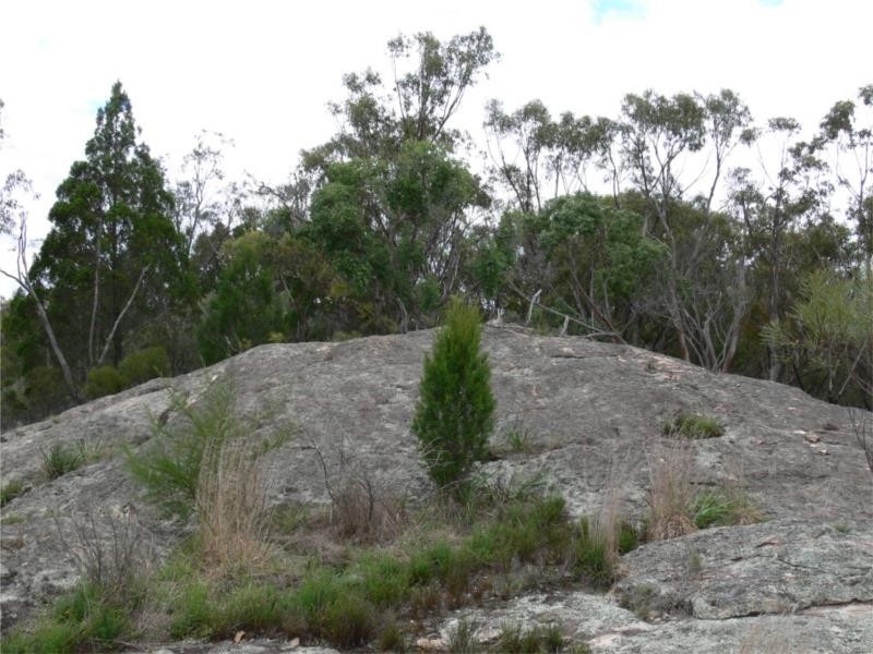 429 Amosfield Road, Stanthorpe QLD 4380