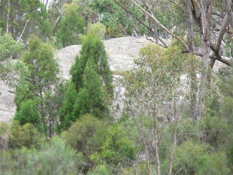 429 Amosfield Road, Stanthorpe QLD 4380