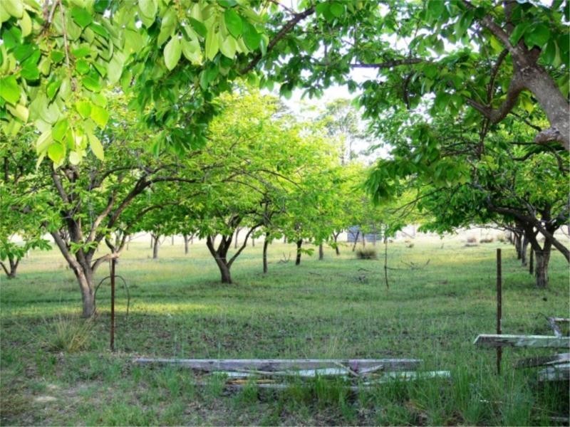 51 Parkers Lane, Thulimbah QLD 4376