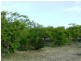 51 Parkers Lane, Thulimbah QLD 4376