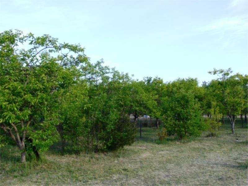 51 Parkers Lane, Thulimbah QLD 4376